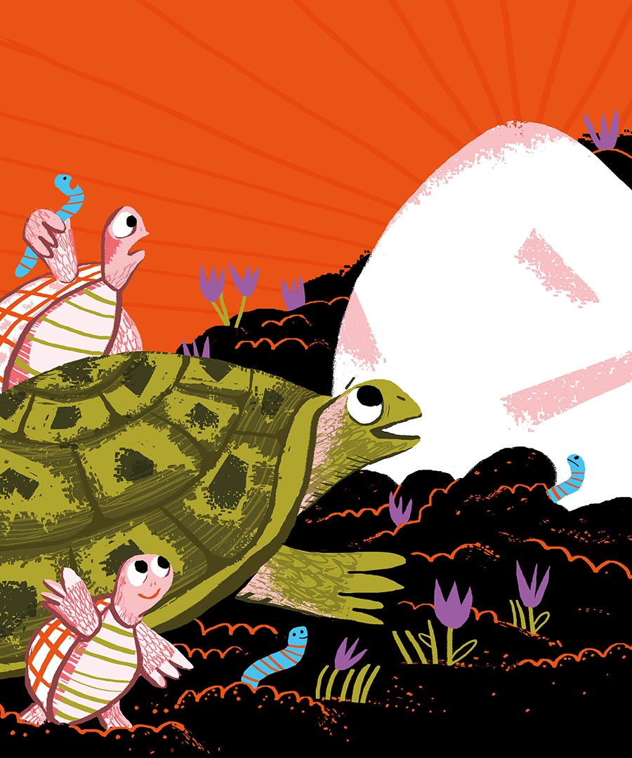 1G2POP_nathalie_desforges recto du marque page avec les animaux dessinés de la forêt