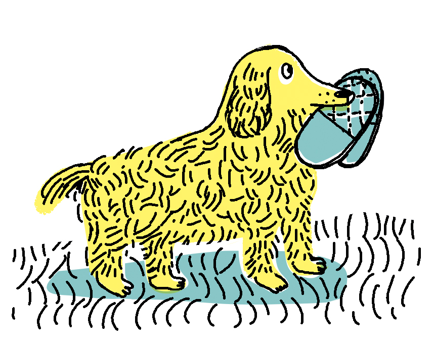Diset carte ND 33c chien apportant chausson