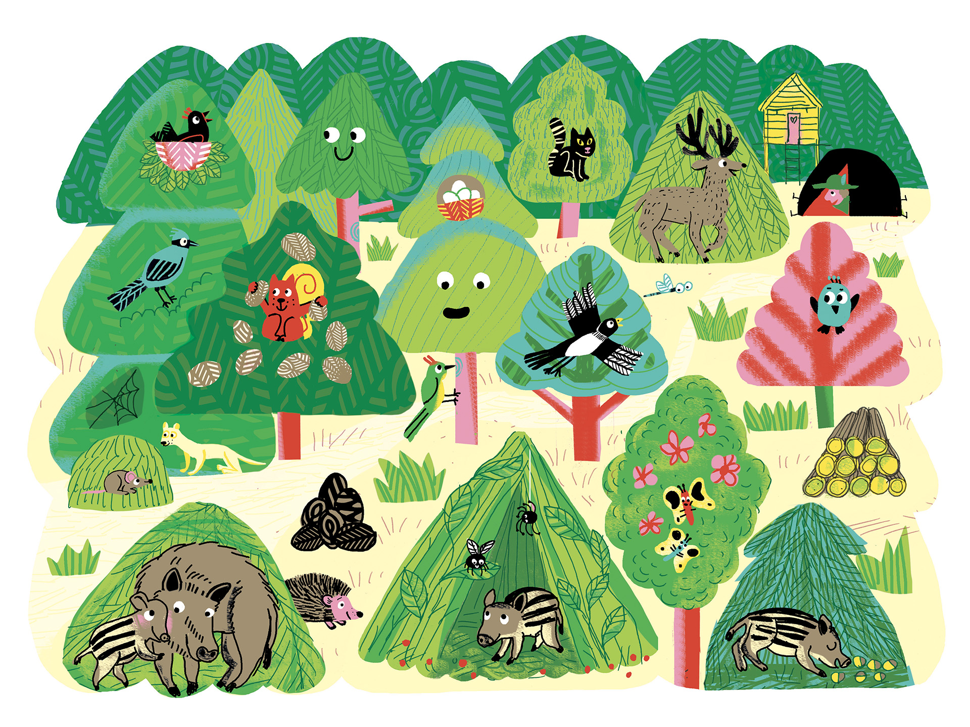DEF-DJECO-forêt-ND forêt à colorier à l'eau
